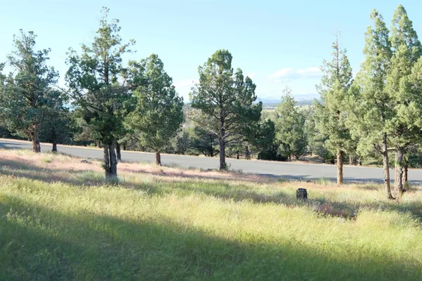 $5,000 | 9-1 Unit Road, Weed, CA 96094