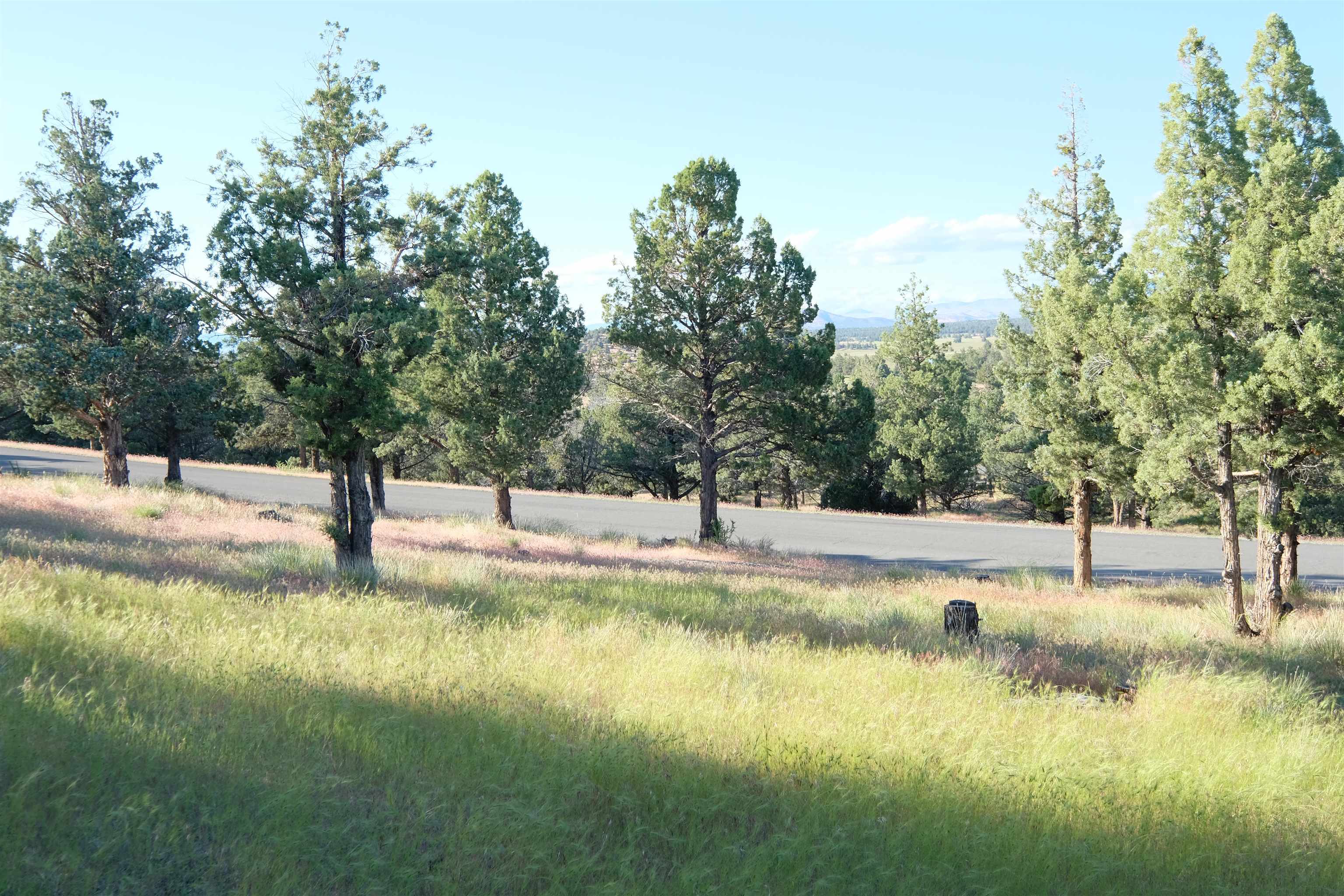 9-1 Unit Road Weed, CA 96094 - Photo 1 of 30 Gallery Image 1