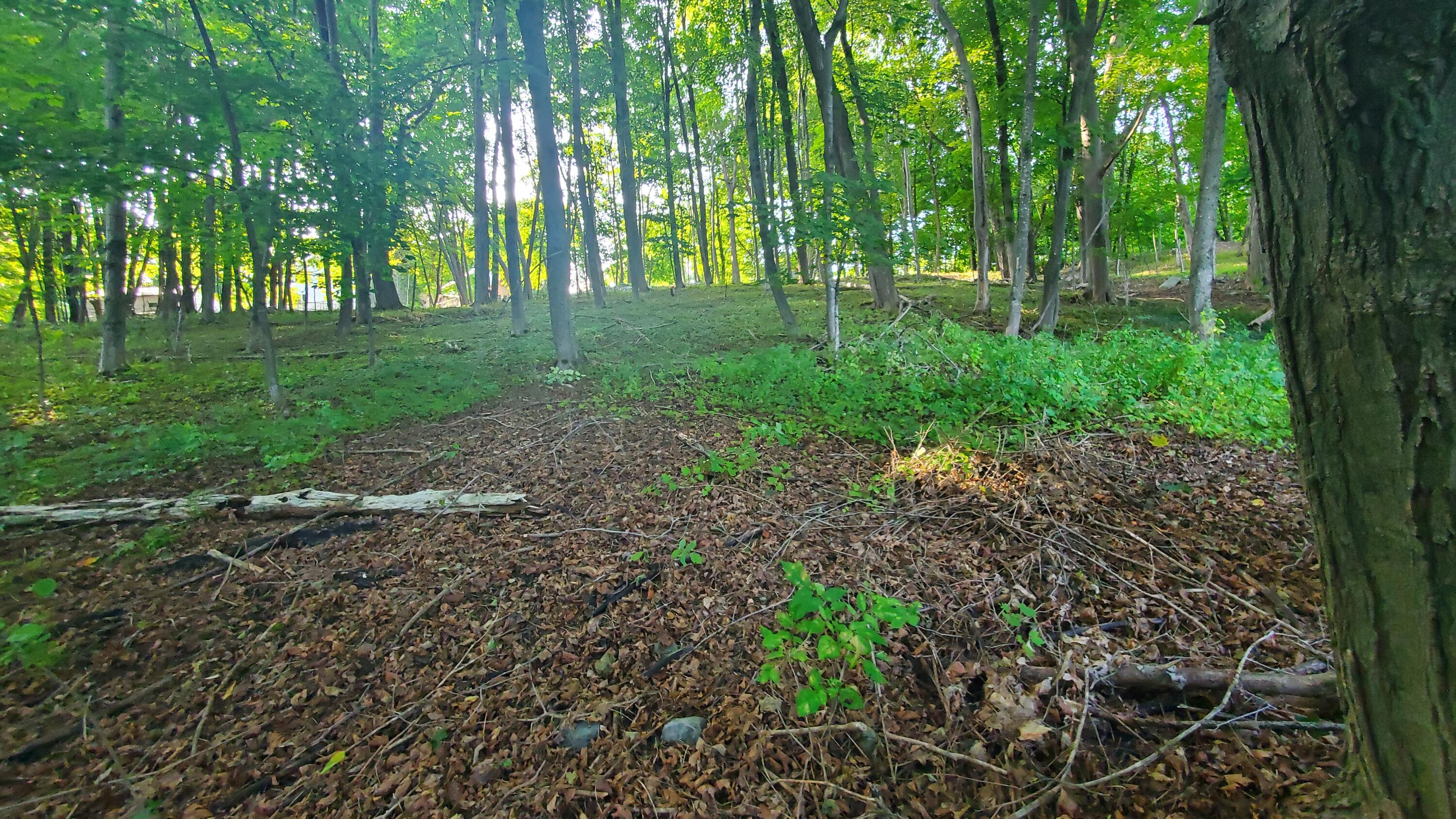 45 Main Street Dexter, ME 04930 - Photo 90 of 107 20250909_162052