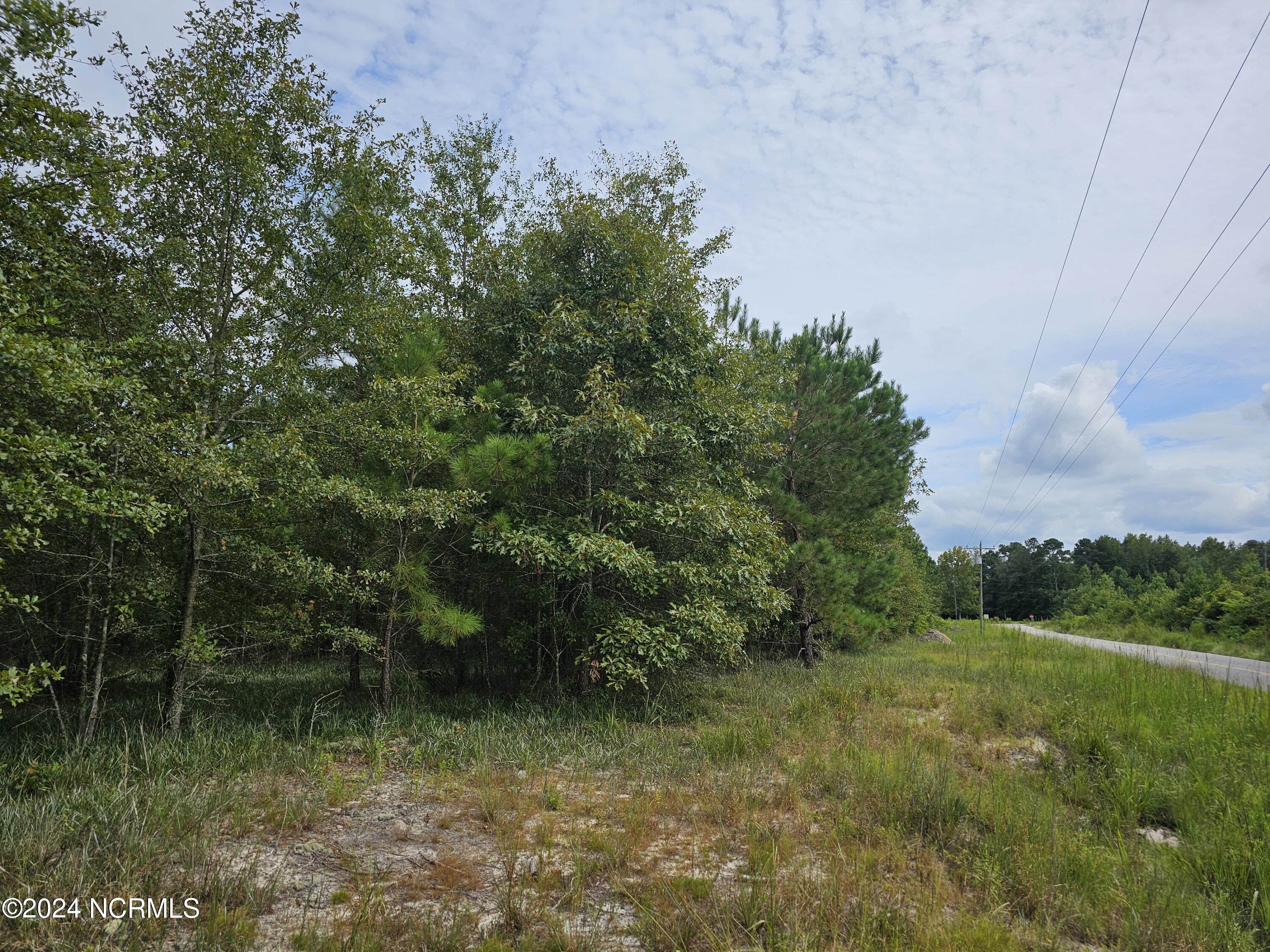 0 Halfway Branch School Road Atkinson, NC 28421 - Photo 12 of 16 20240906_145934