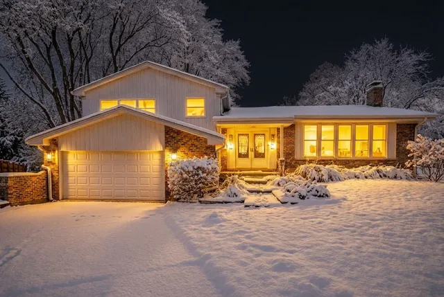 a view of a trees with a big yard