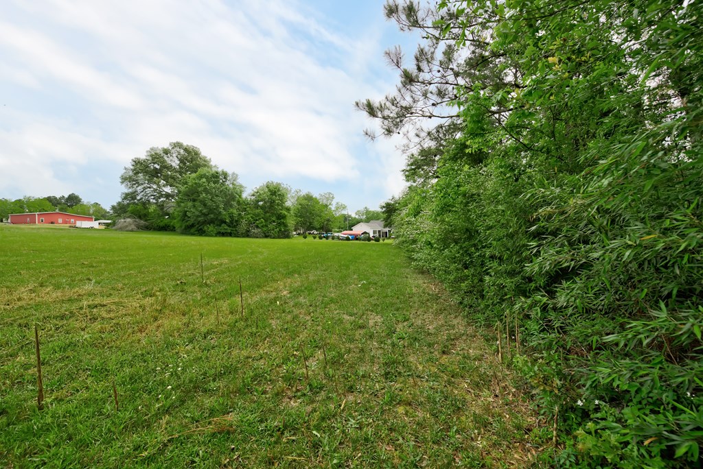 Lot 3 McCord Road Dothan, AL 36301 - Photo 2 of 10