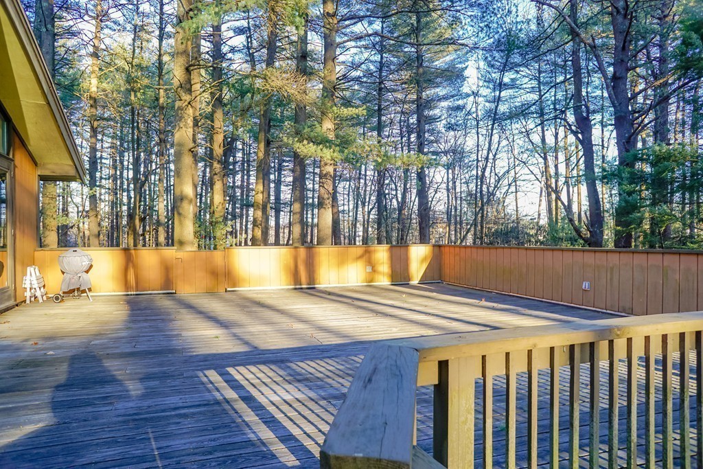 596 Springs Road Bedford, MA 01730 - Photo 16 of 19 Gallery Image 16