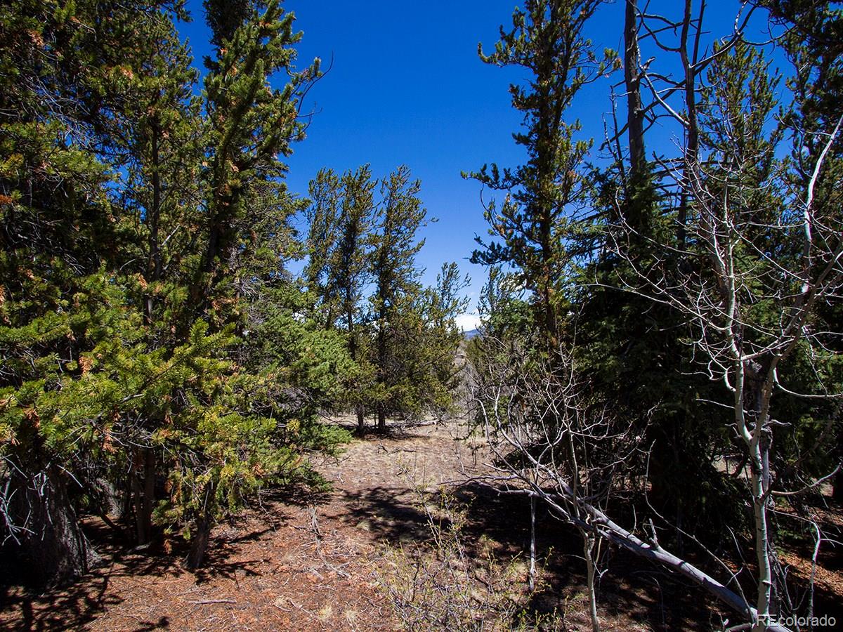 90 Buckhorn Road Como, CO 80456 - Photo 1 of 12 Gallery Image 1