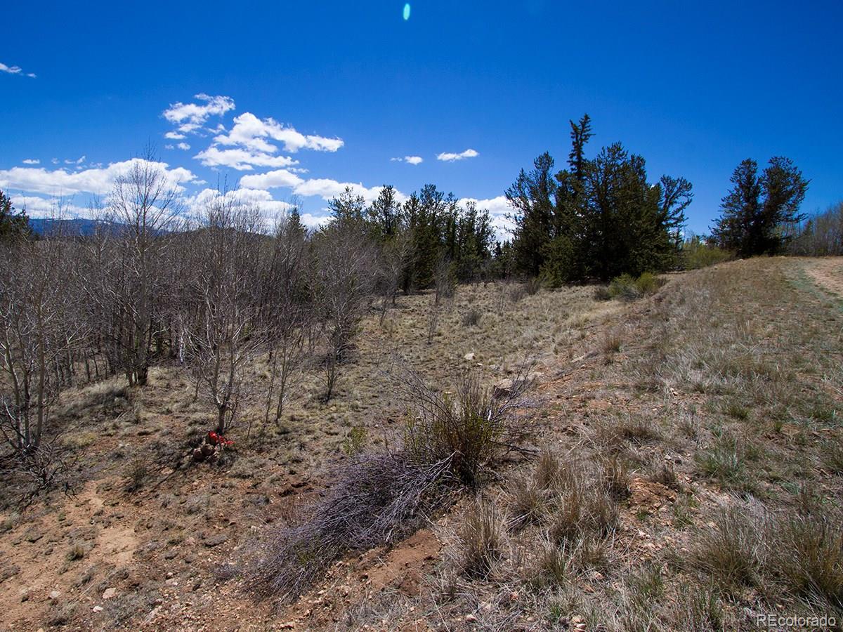 90 Buckhorn Road Como, CO 80456 - Photo 3 of 12 Gallery Image 3