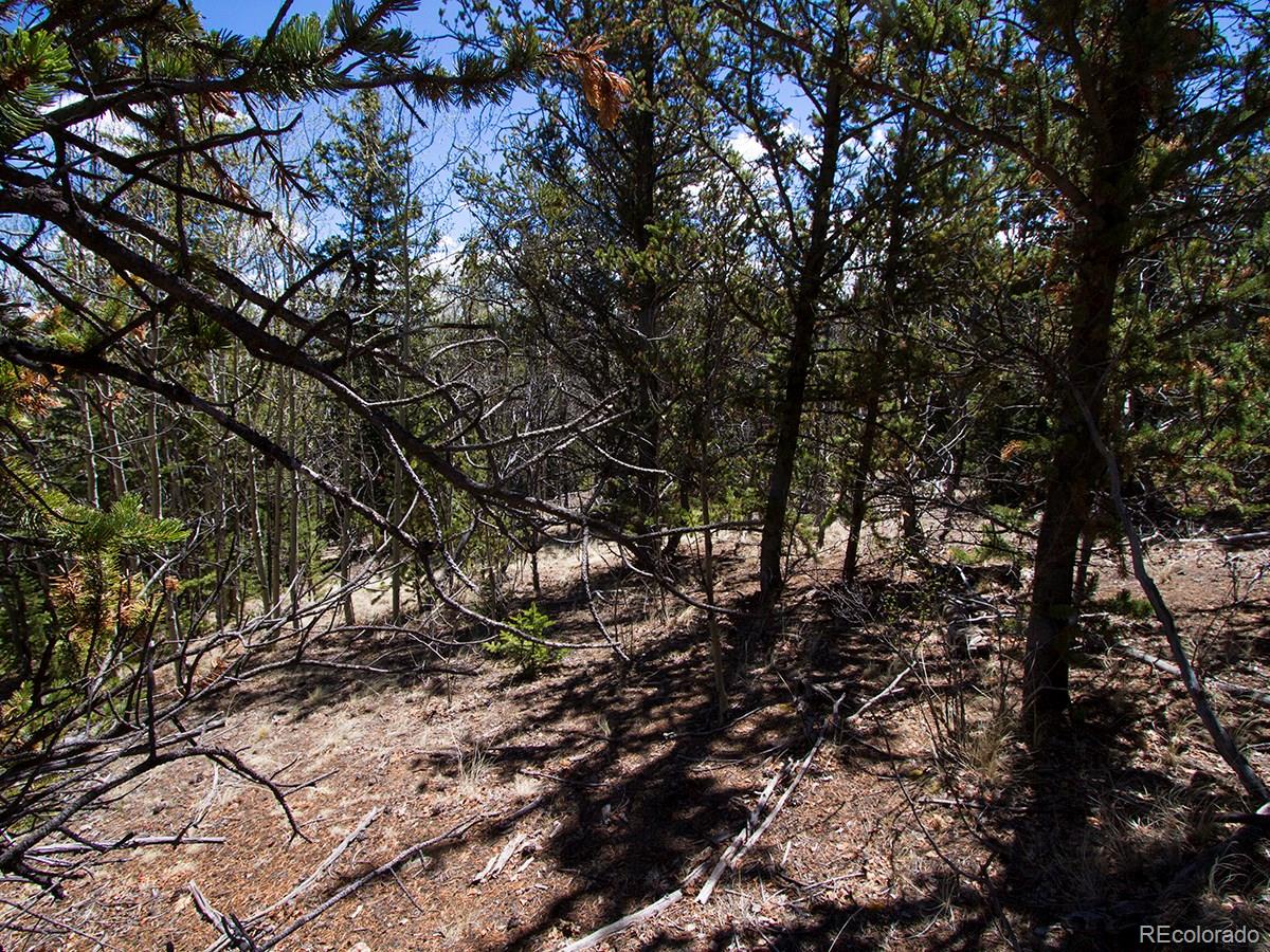 90 Buckhorn Road Como, CO 80456 - Photo 4 of 12 Gallery Image 4