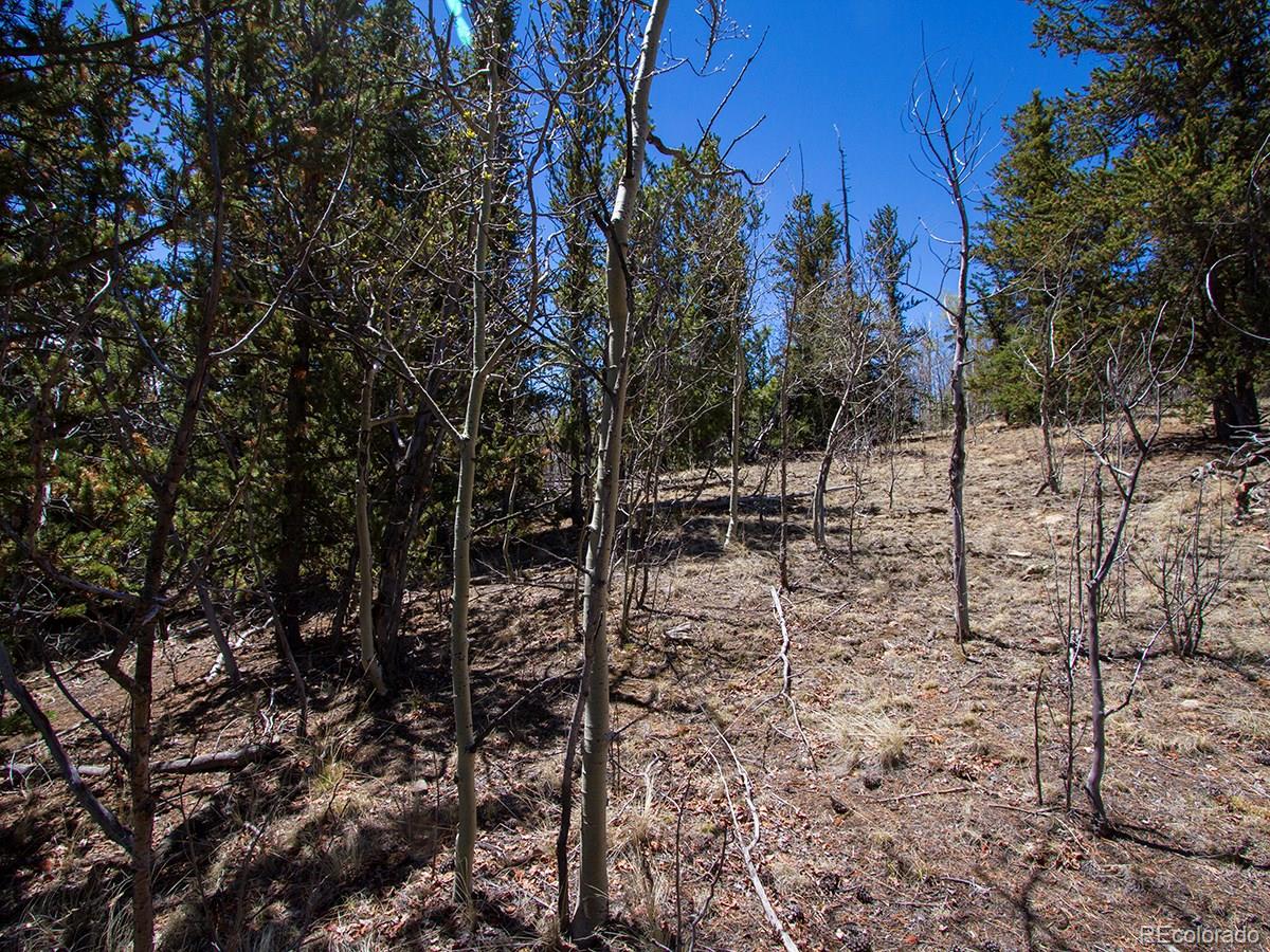 90 Buckhorn Road Como, CO 80456 - Photo 5 of 12 Gallery Image 5