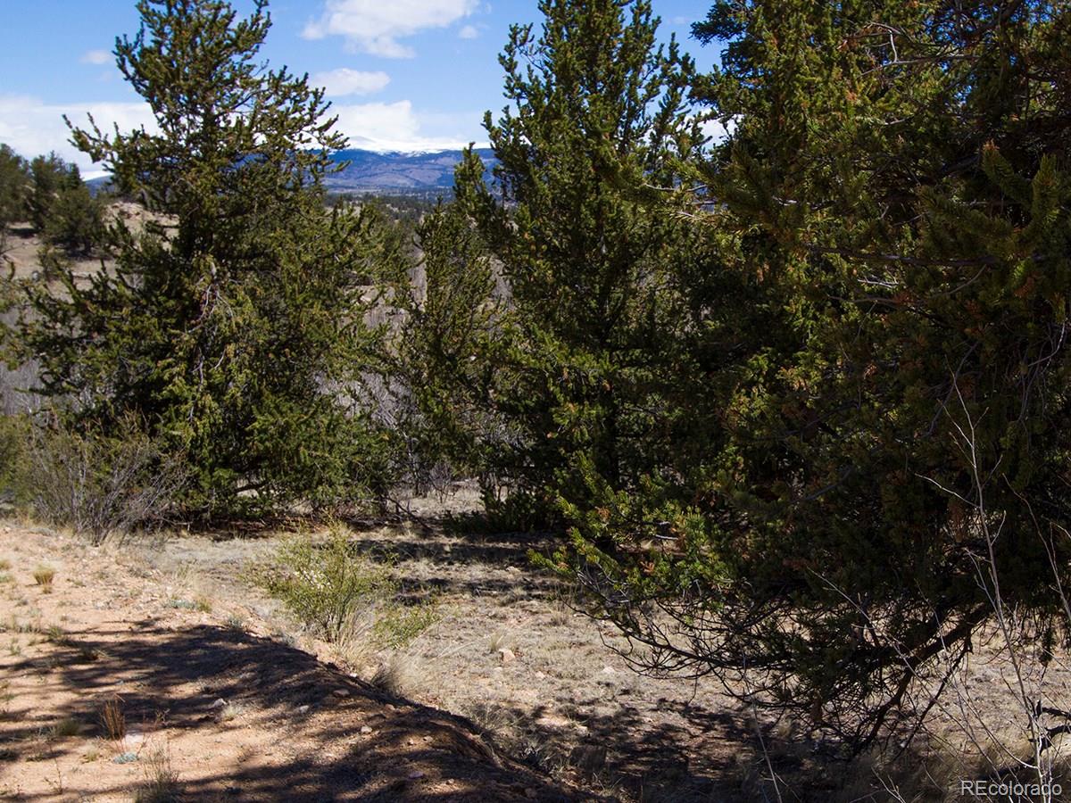 90 Buckhorn Road Como, CO 80456 - Photo 6 of 12 Gallery Image 6