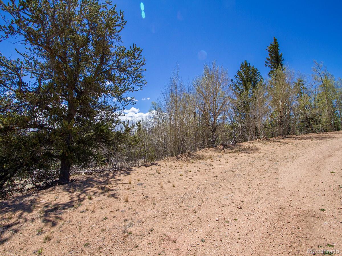 90 Buckhorn Road Como, CO 80456 - Photo 7 of 12 Gallery Image 7