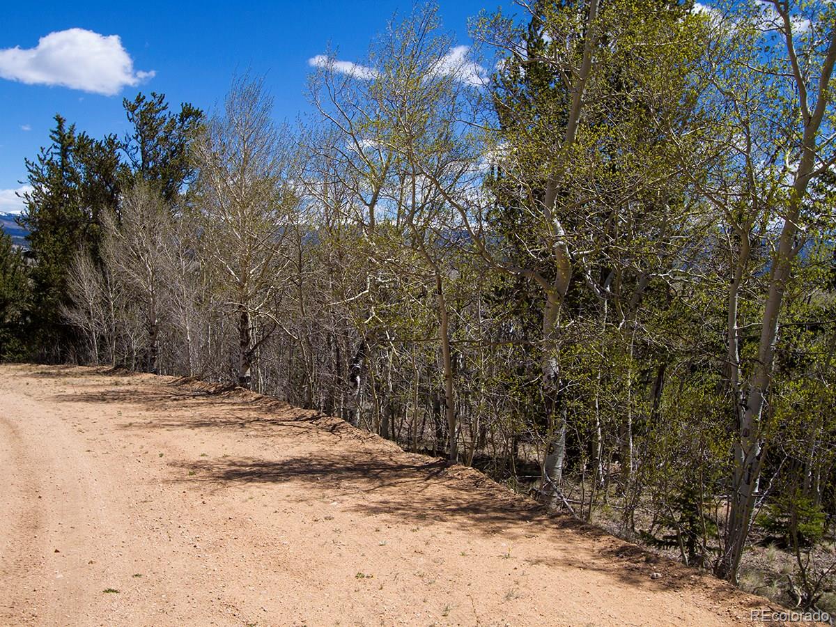 90 Buckhorn Road Como, CO 80456 - Photo 8 of 12 Gallery Image 8