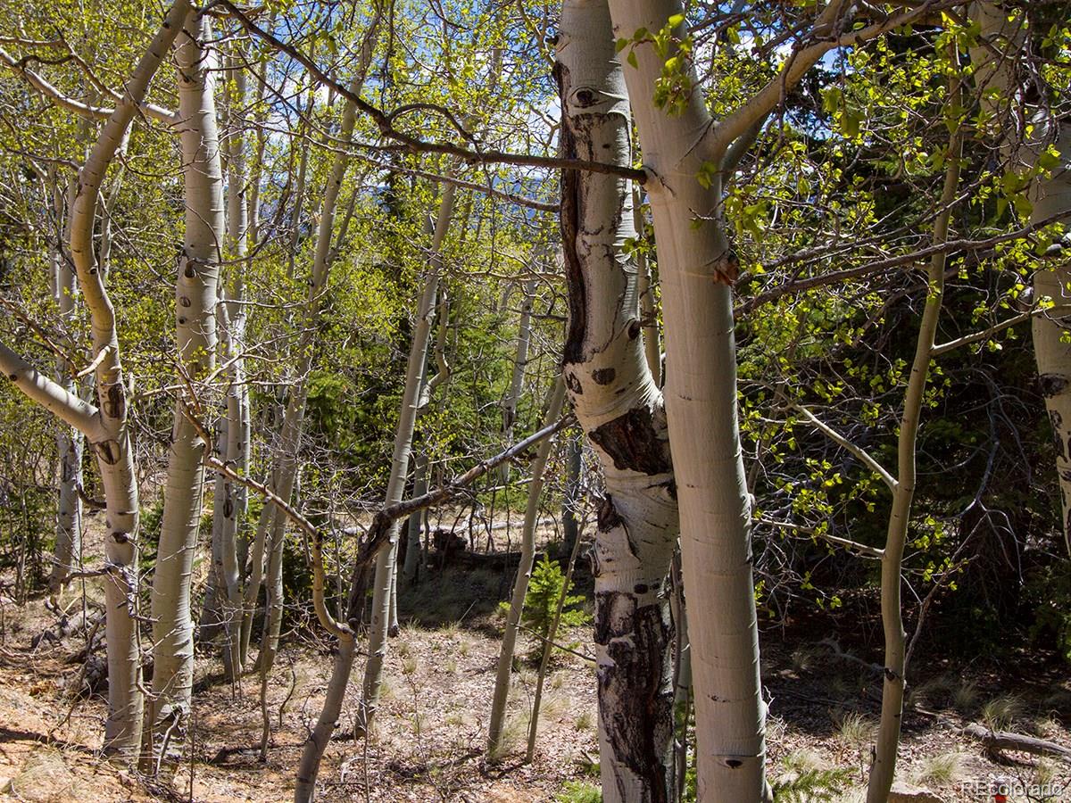 90 Buckhorn Road Como, CO 80456 - Photo 9 of 12 Gallery Image 9