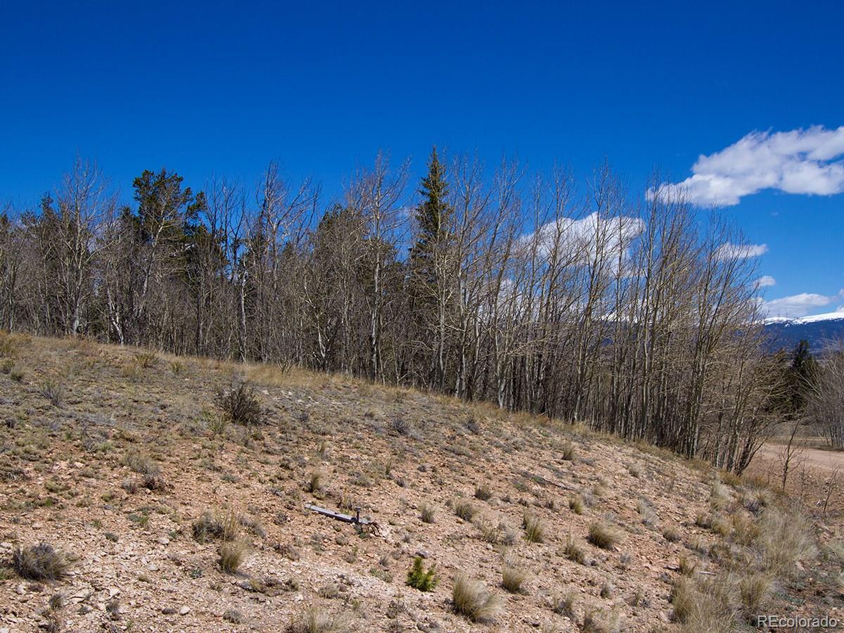 90 Buckhorn Road Como, CO 80456 - Photo 10 of 12 Gallery Image 10