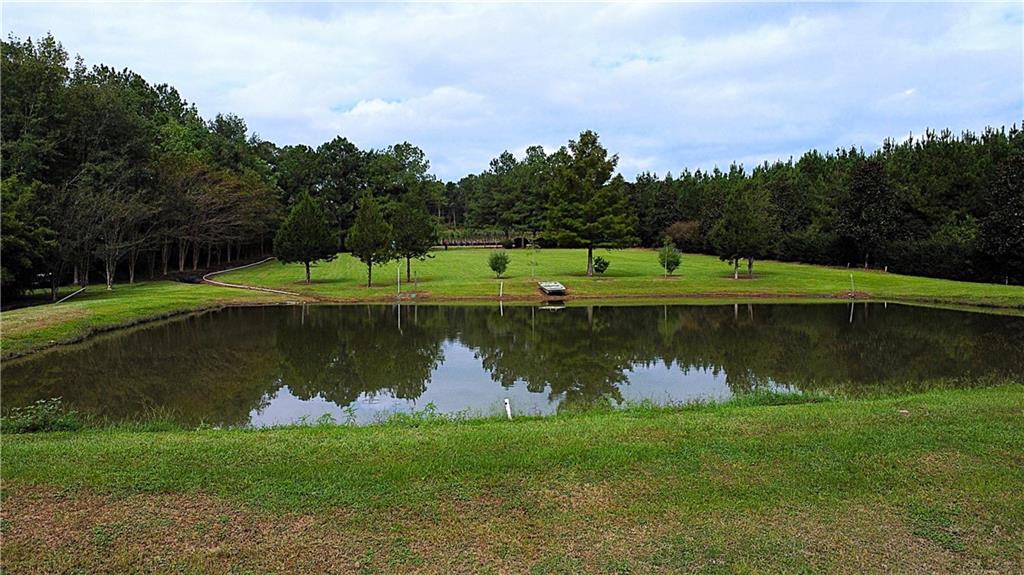 4.2-acres Sheila Road Folsom, LA 70437 - Photo 1 of 10 Gallery Image 1