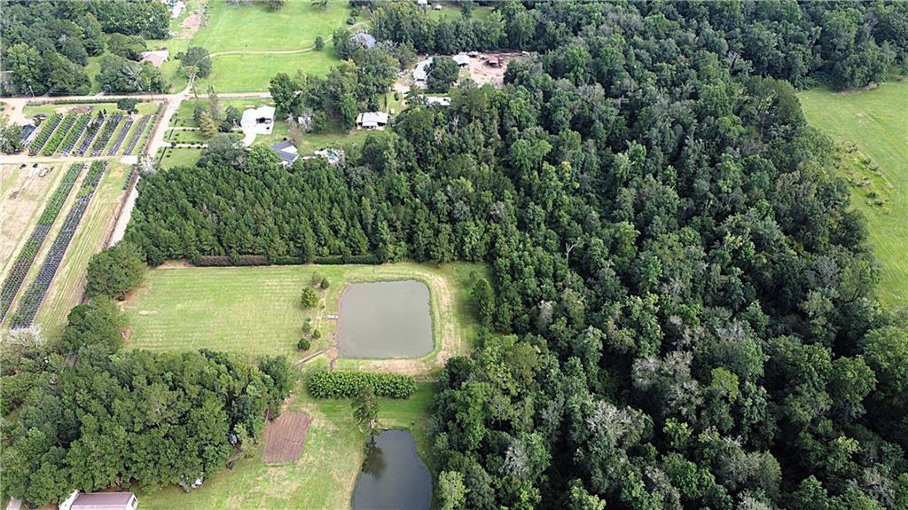 4.2-acres Sheila Road Folsom, LA 70437 - Photo 3 of 10 Gallery Image 3