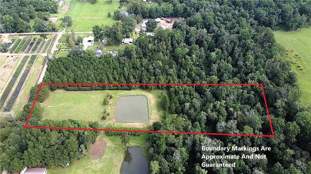 4.2-acres Sheila Road Folsom, LA 70437 - Photo 4 of 10 Gallery Image 4