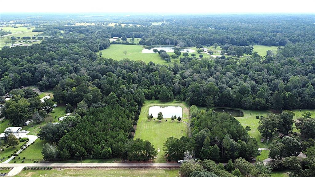 4.2-acres Sheila Road Folsom, LA 70437 - Photo 5 of 10 Gallery Image 5