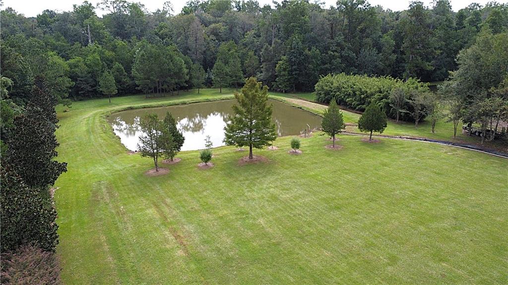 4.2-acres Sheila Road Folsom, LA 70437 - Photo 6 of 10 Gallery Image 6