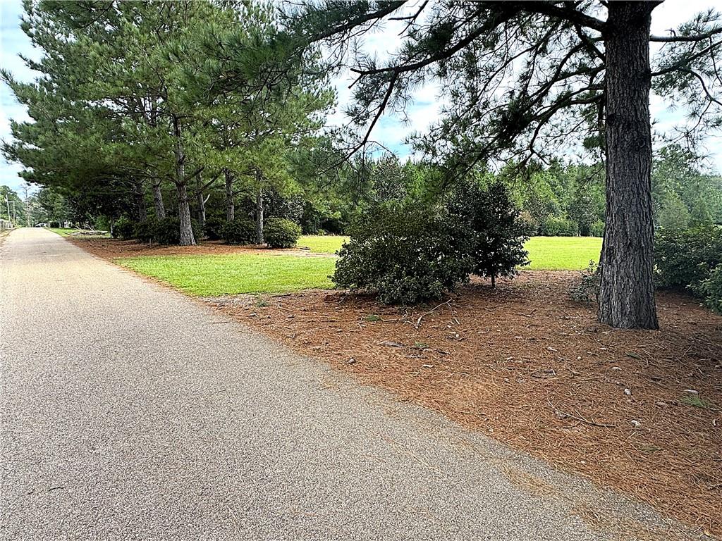 4.2-acres Sheila Road Folsom, LA 70437 - Photo 7 of 10 Gallery Image 7