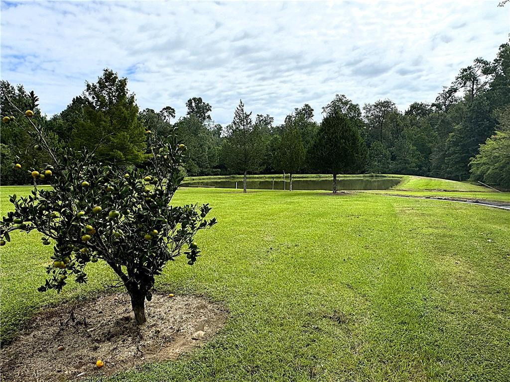4.2-acres Sheila Road Folsom, LA 70437 - Photo 10 of 10 Gallery Image 10