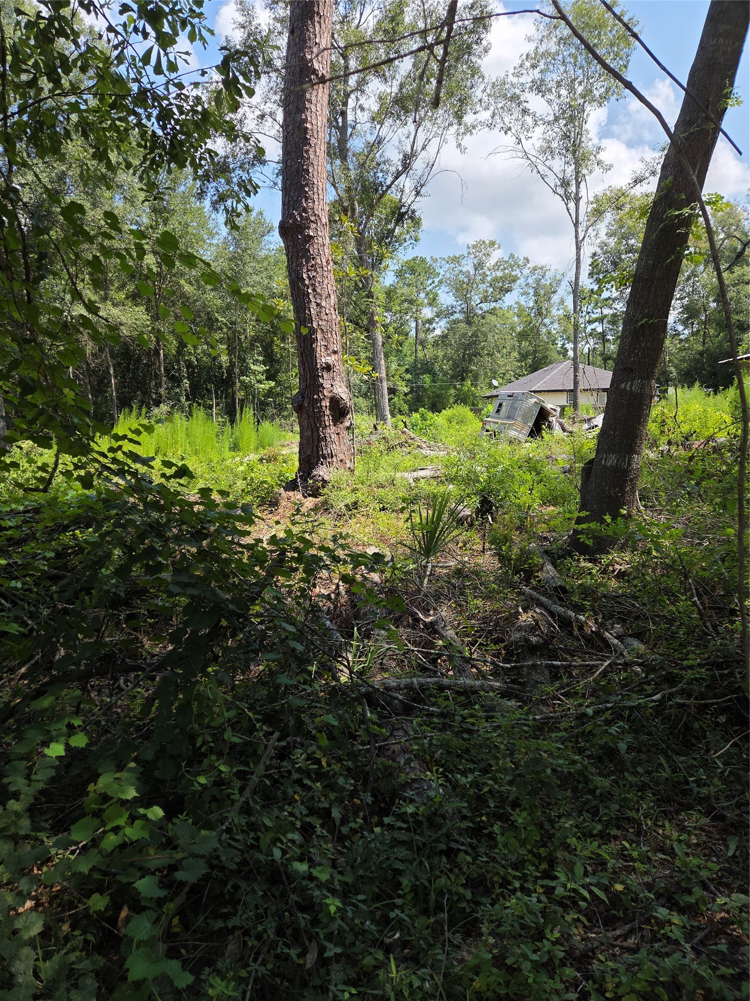 27081 Rocking R Splendora, TX 77372 - Photo 4 of 9