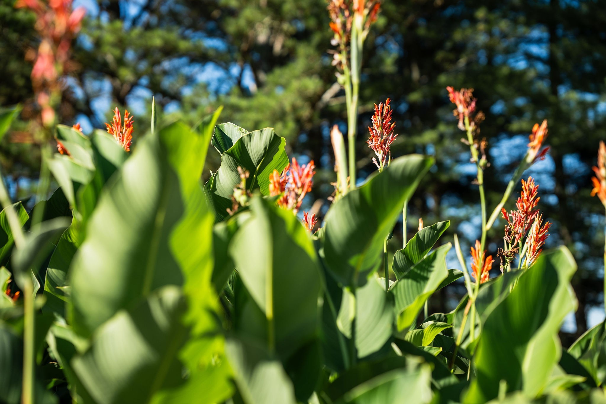 1759 Fry Road Thompson's Station, TN 37179 - Photo 34 of 36