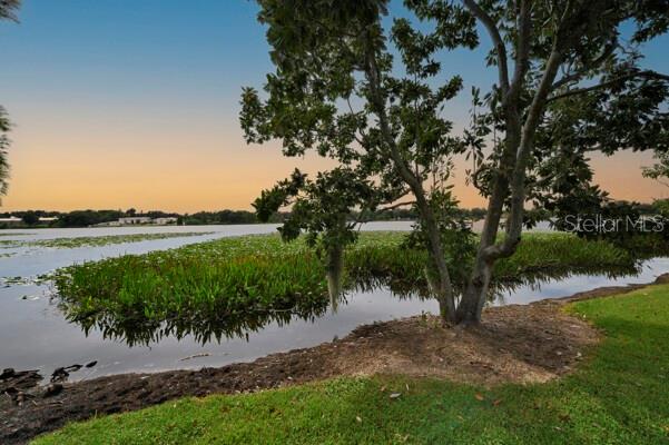 1502 Lake Buckeye Road, Unit 2 Winter Haven, FL 33881 - Photo 44 of 47 a view of a lake with a garden