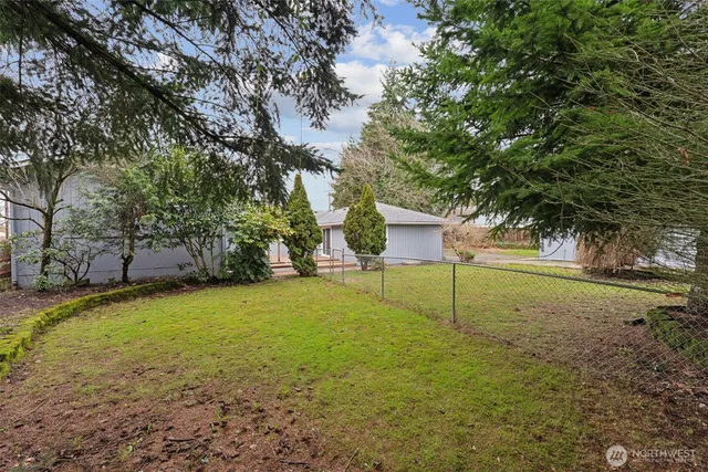 a view of backyard with tree