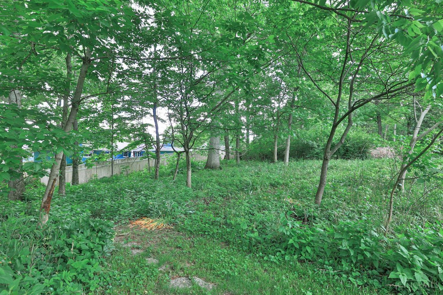6794 Shawnee Run Road Madeira, OH 45243 - Photo 43 of 56