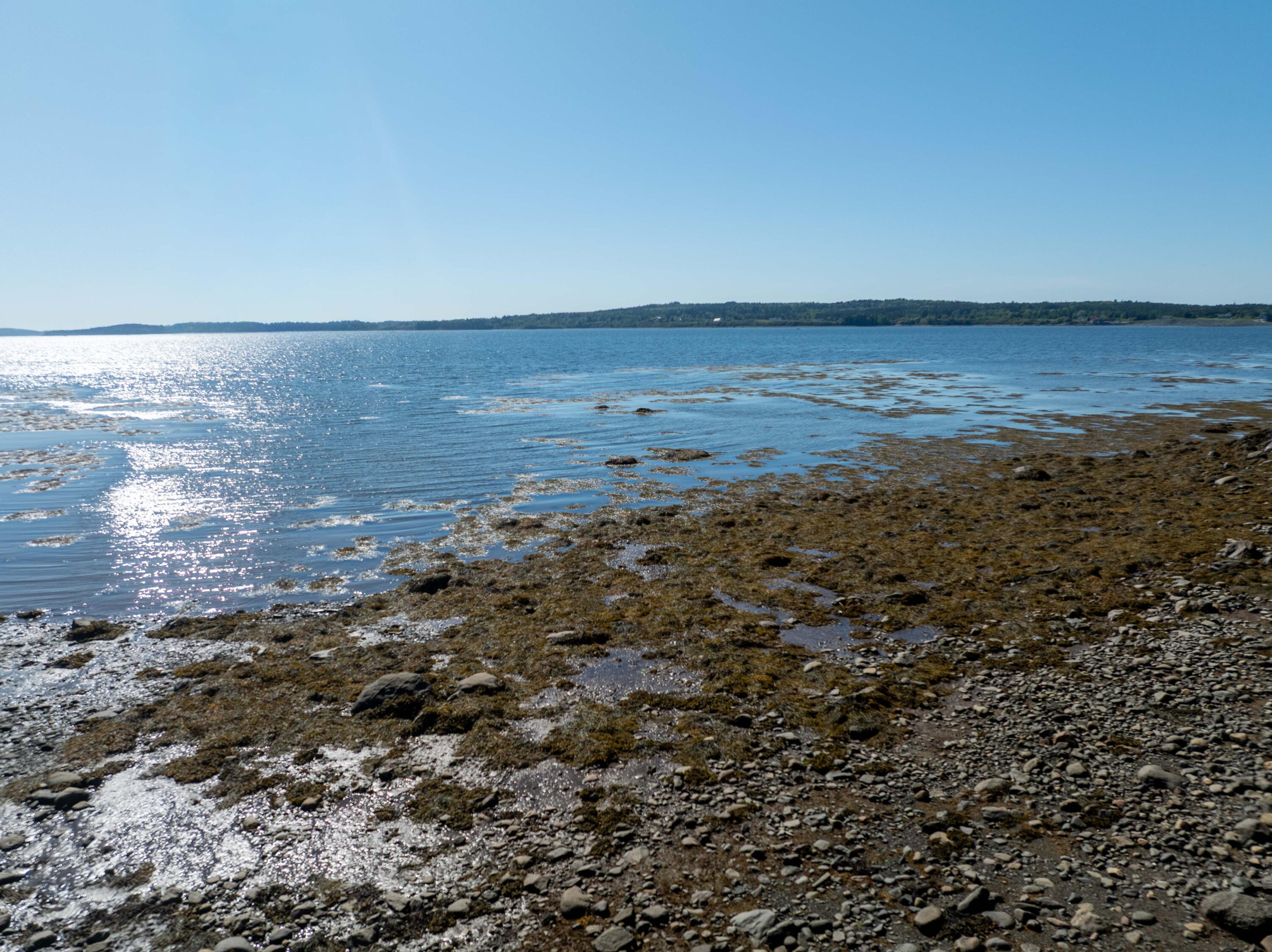 7 Windward Way, Unit 323 Cutler, ME 04626 - Photo 21 of 25 Beachwood Bay Estates - 20 Beachwood Bay