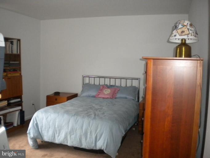 13711 Springhaven Drive Chantilly, VA 20151 - Photo 14 of 22 Spacious secondary bedroom