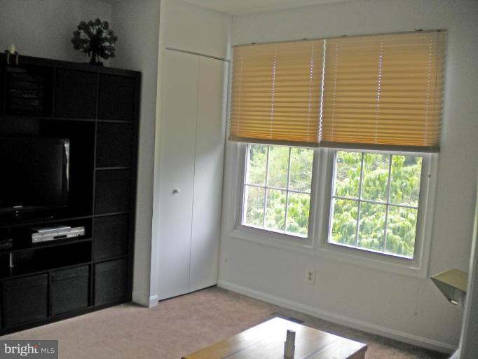 13711 Springhaven Drive Chantilly, VA 20151 - Photo 15 of 22 Bedroom #3