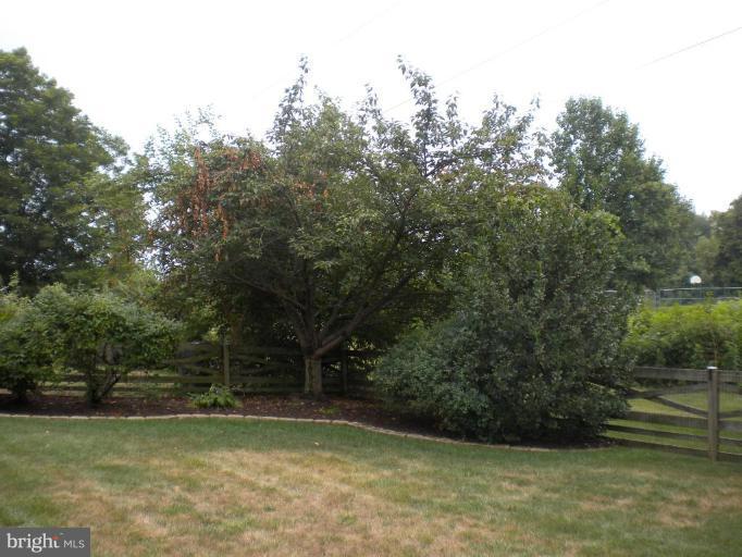 13711 Springhaven Drive Chantilly, VA 20151 - Photo 21 of 22 property goes beyond the fence