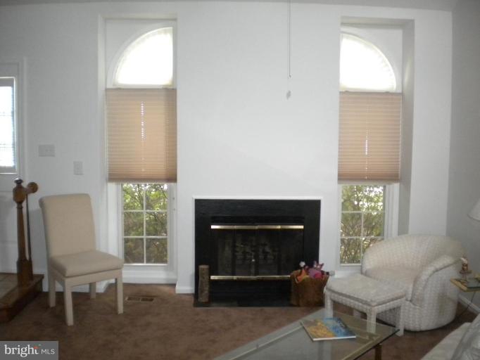 13711 Springhaven Drive Chantilly, VA 20151 - Photo 4 of 22 fireplace flanked with windows in living room
