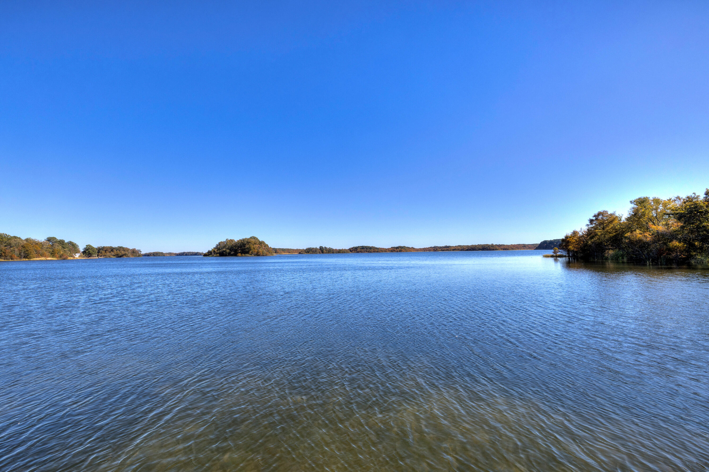 2185 Lake Marion Shores Road Summerton, SC 29148 - Photo 54 of 62