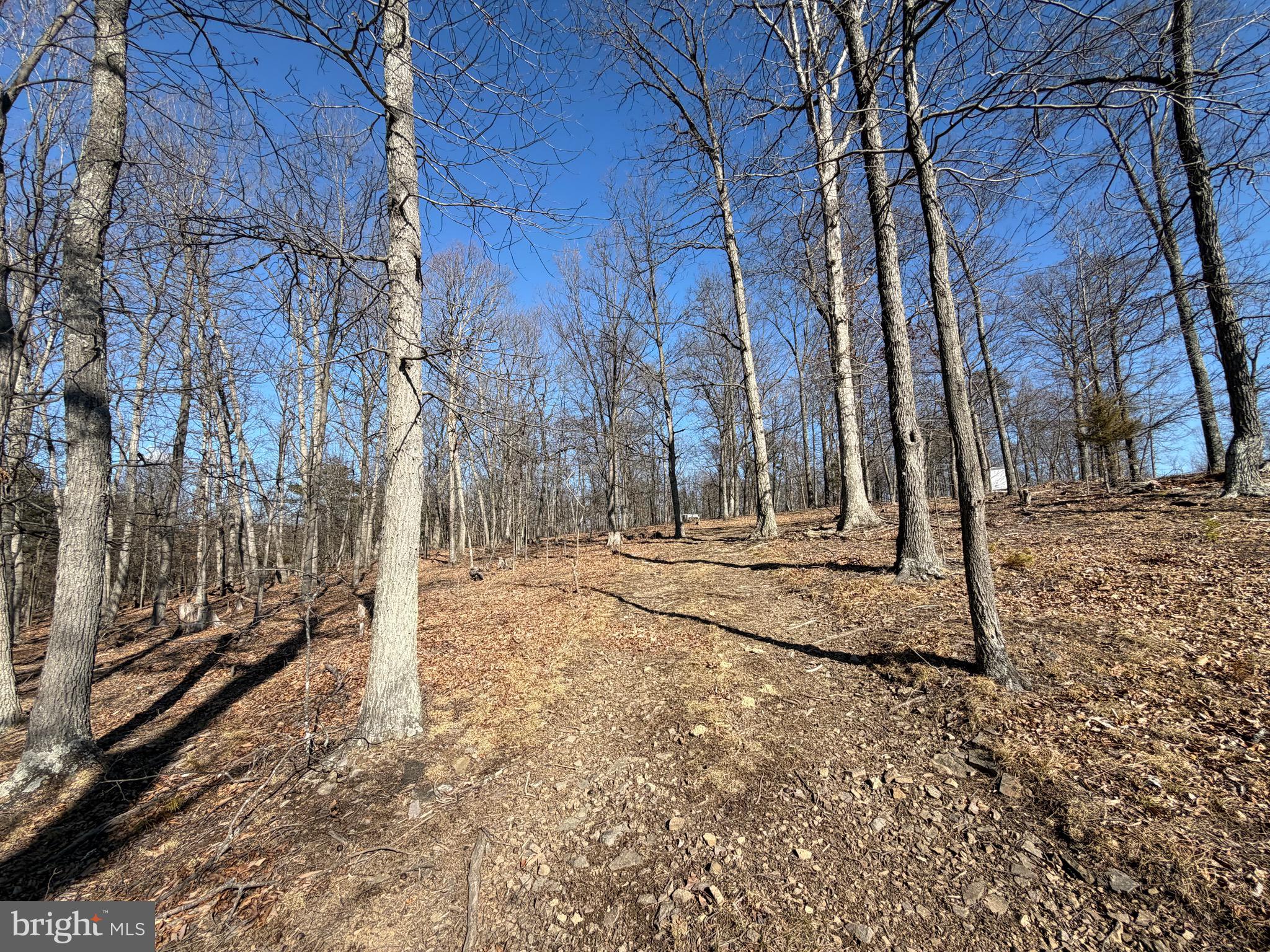 Goldsborough Road Springfield, WV 26763 - Photo 16 of 18