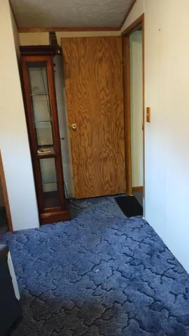 $45,000 | 545 East Streambank Street, Newaygo, MI 49337