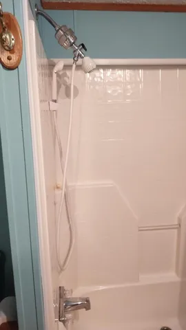 $45,000 | 545 East Streambank Street, Newaygo, MI 49337