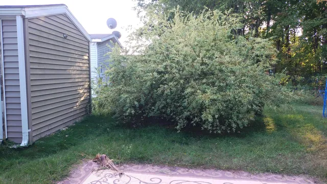 $45,000 | 545 East Streambank Street, Newaygo, MI 49337