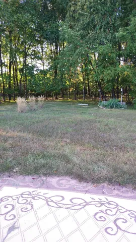 $45,000 | 545 East Streambank Street, Newaygo, MI 49337