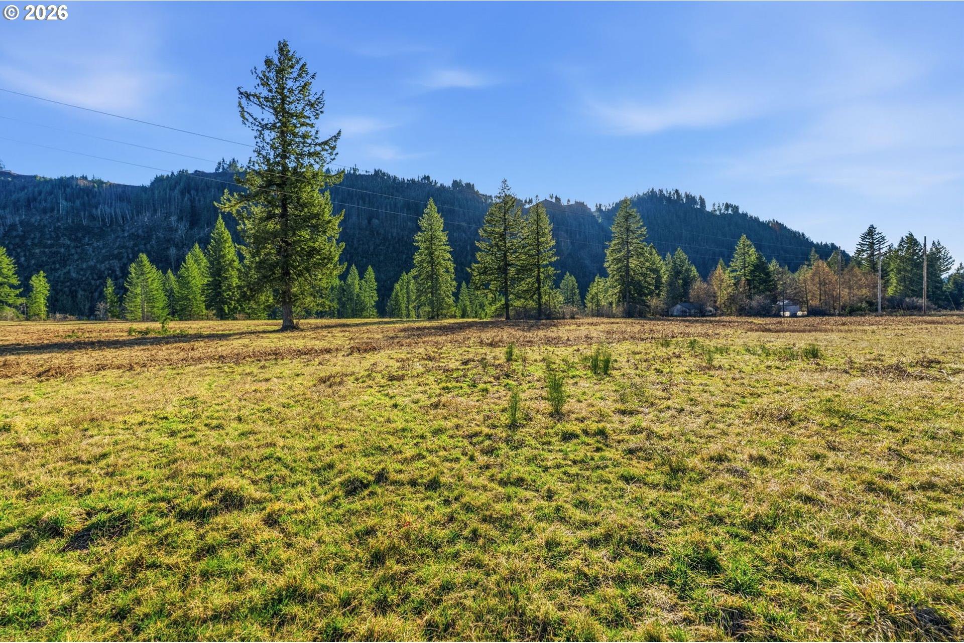 208 Sawmill Road, Unit 3 Ariel, WA 98603 - Photo 11 of 13 Gallery Image 11