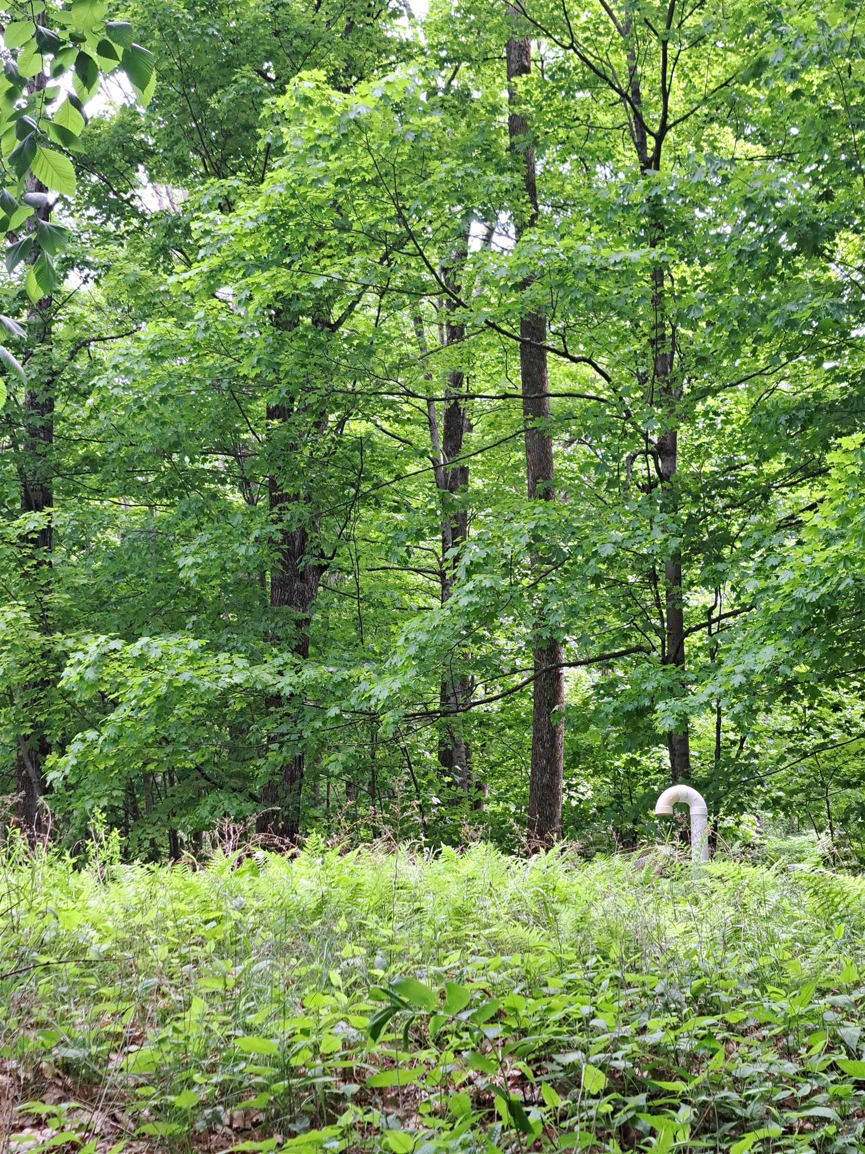 81 Hart Farm Road Deering, NH 03244 - Photo 17 of 17