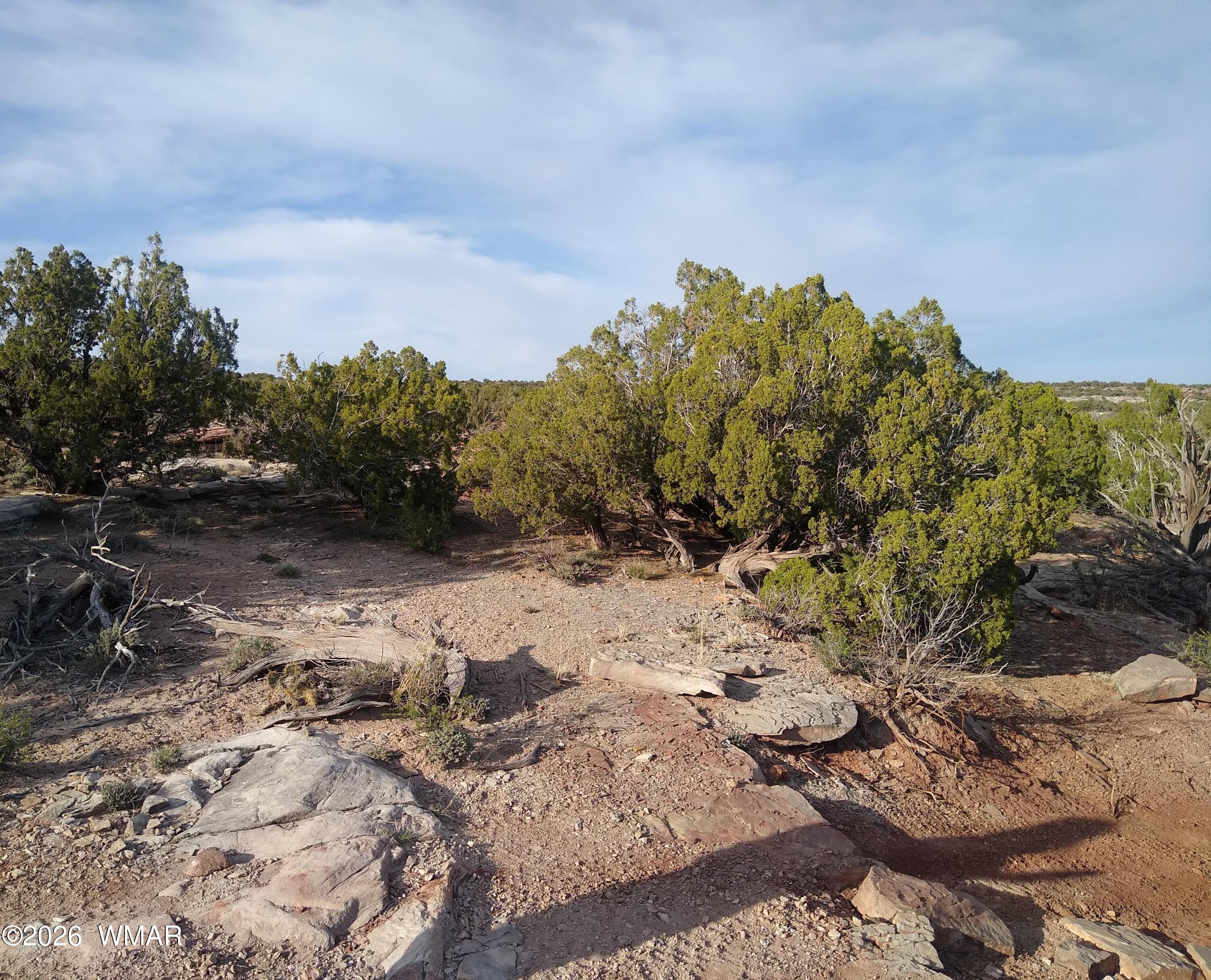 8938 Buffalo Ridge Lane Snowflake, AZ 85937 - Photo 1 of 3