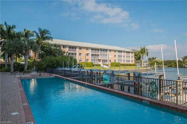 a view of a yard with plants