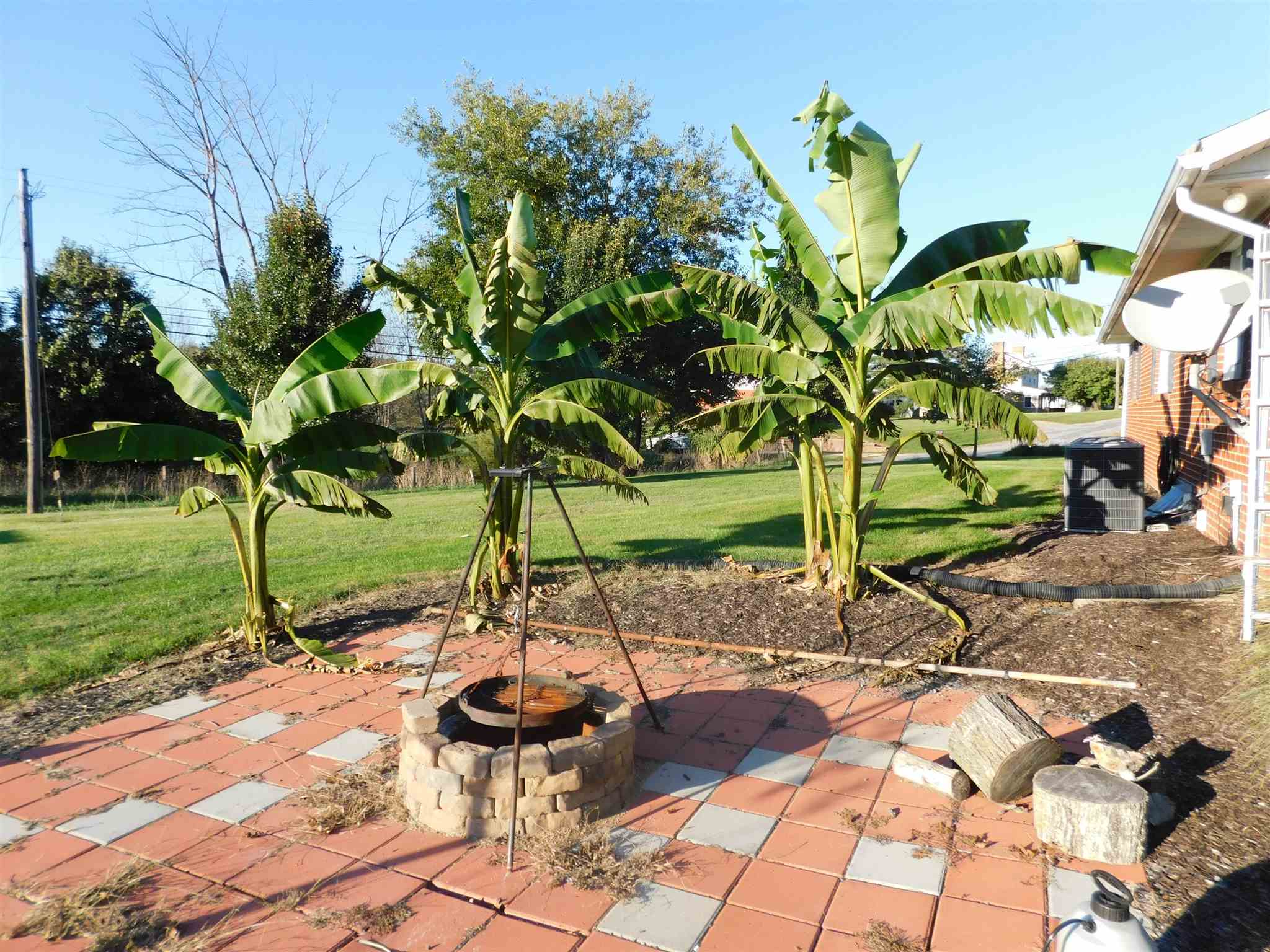 7306 Cross Keys Road Mount Crawford, VA 22841 - Photo 6 of 15 a view of a backyard