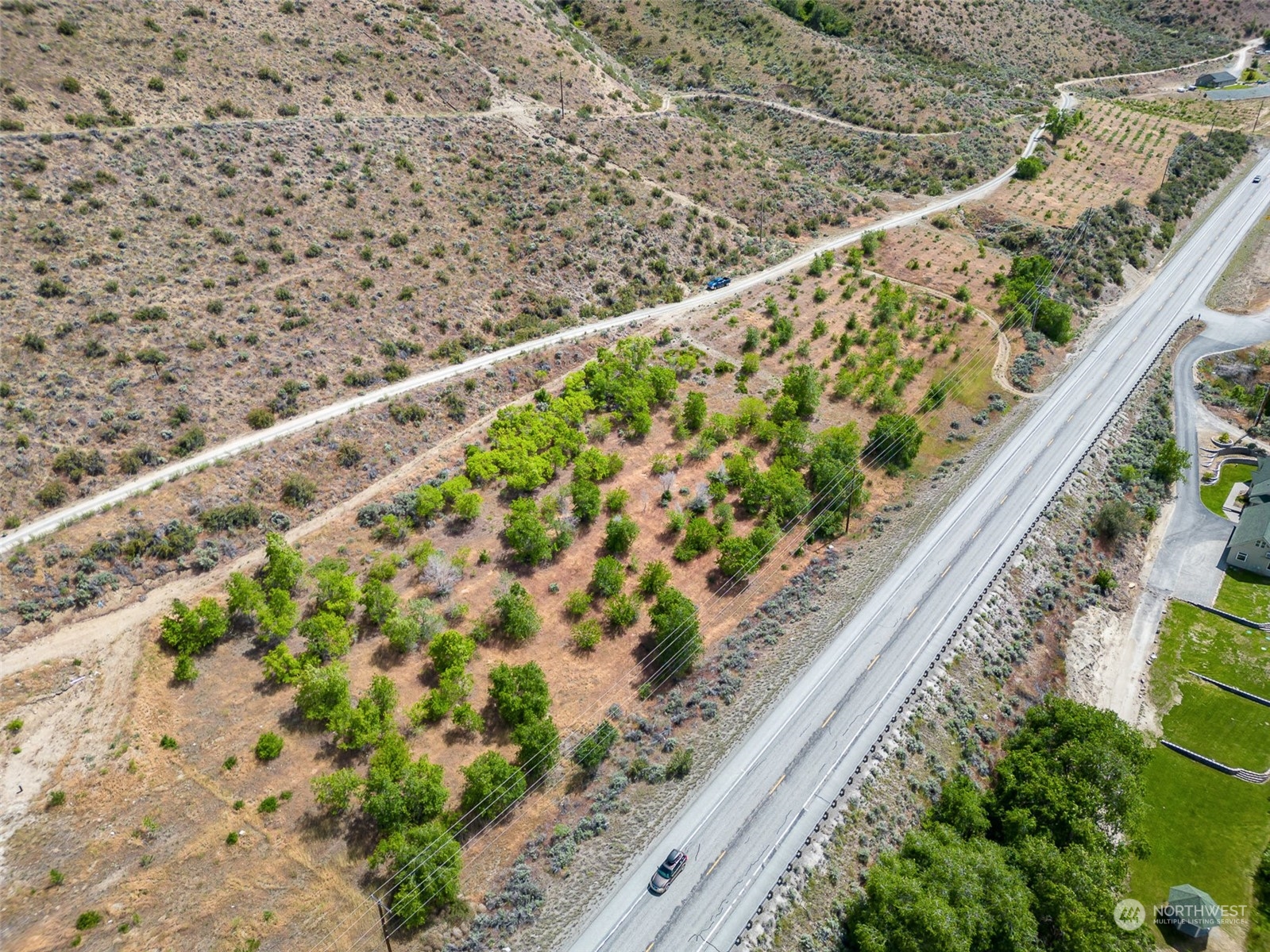 X Riverview Road Orondo, WA 98843 - Photo 9 of 11 a close up of a plant with a plant