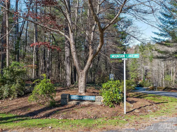 a view of a backyard with large trees