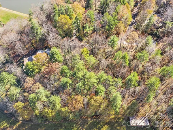 a backyard of a house with a tree