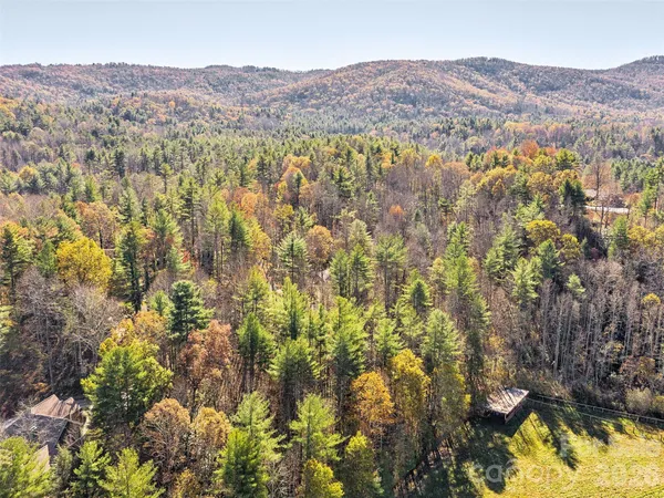 a view of a mountain in the distance in a field
