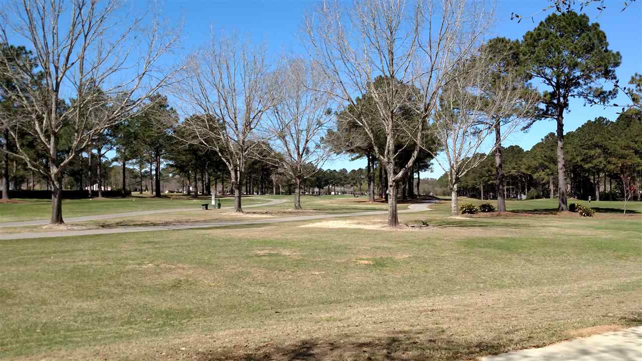 20124 Bunker Loop Fairhope, AL 36532 - Photo 11 of 13