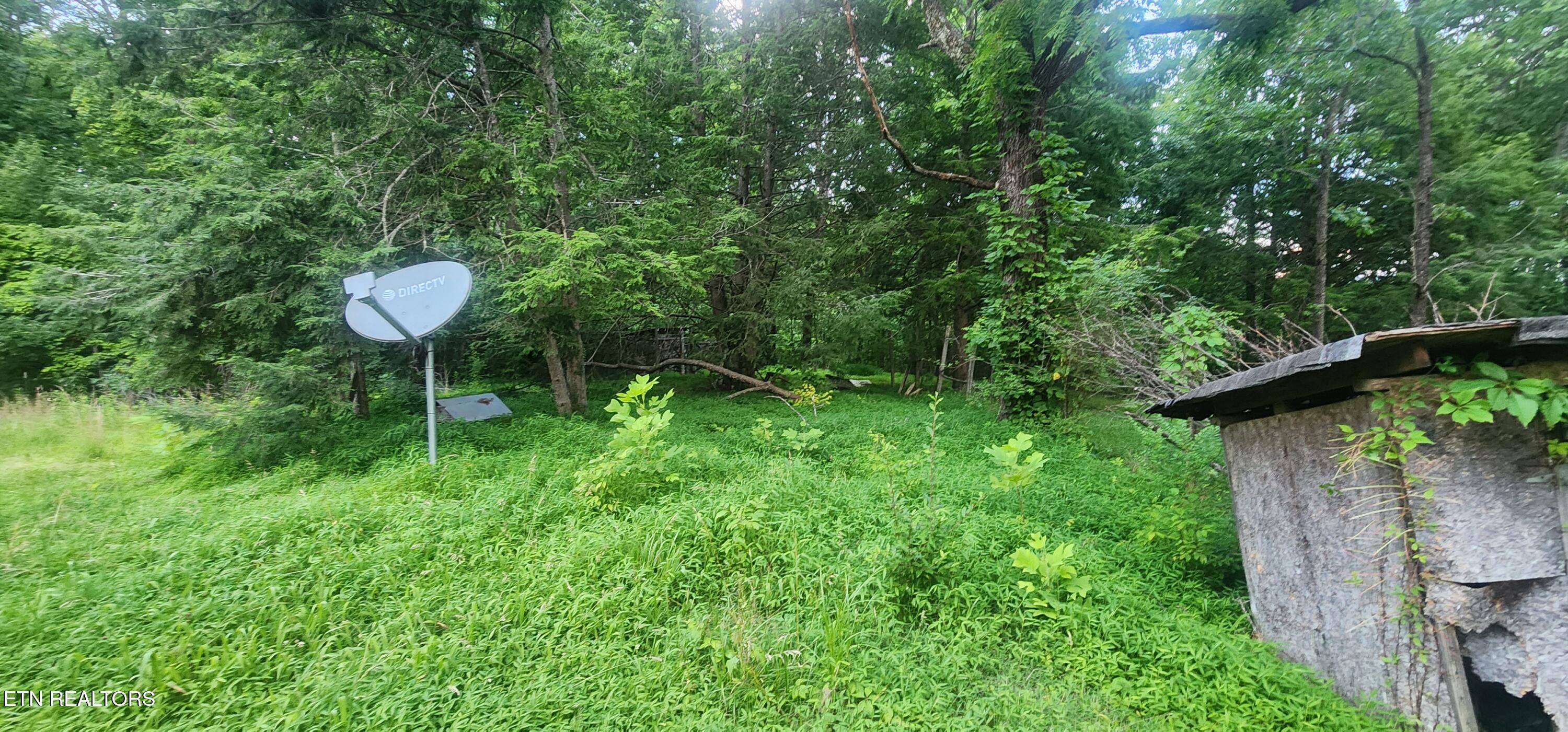 229 Obis Bowling Road Robbins, TN 37852 - Photo 13 of 26 20250619_202216